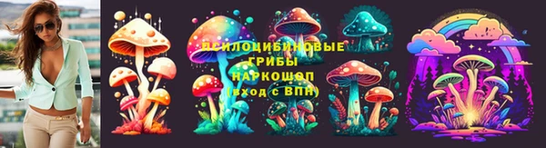 стафф Елизово