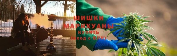 стафф Елизово