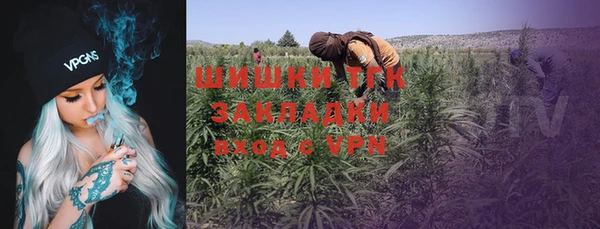 таблы Ельня