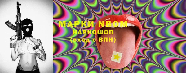 стафф Елизово