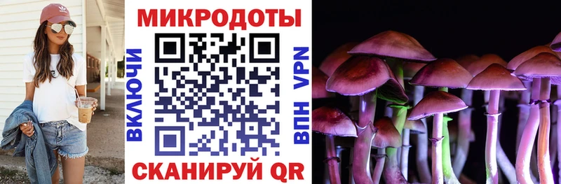 продажа наркотиков Новосокольники Псилоцибиновые грибы прущие грибы